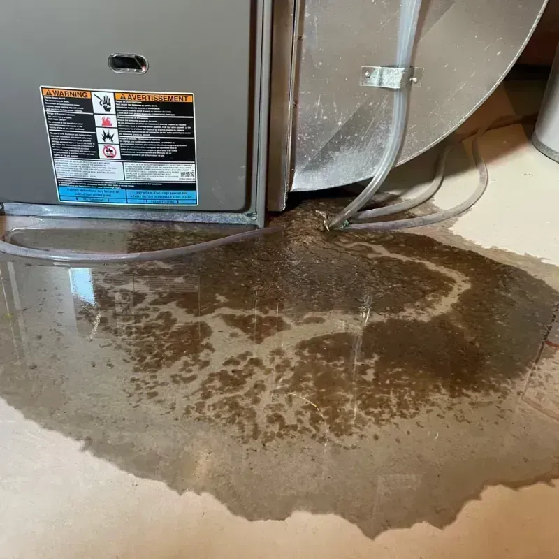 Appliance Leak Cleanup in Avondale, IL